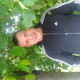 �����, 42