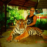 Allan, 67 (32 ����, 0 �����)