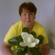 OLGA, 62 (1 ����, 0 �����)
