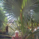 Maiya, 68