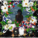 ���, 38