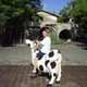 ������, 52 (1 ����, 0 �����)