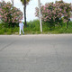 inal, 56