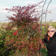 galia, 59 (1 ����, 0 �����)