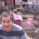 slava, 66