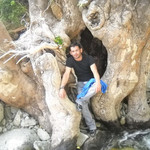gio, 46 (8 ����, 0 �����)